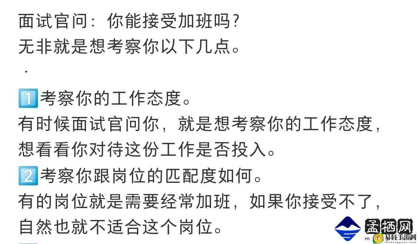 揭秘“瞒着老公加班的HR中字”的真实生活游戏玩法