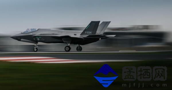 荷兰f -35战斗机抵达爱沙尼亚执行北约空中治安任务