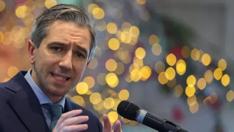 Reuters Simon Harris speaks at a campaign event. He has greyish hair, wearing a dark blue blazer, light blue shirt and green polka dot tie. He is speaking into a microphone.